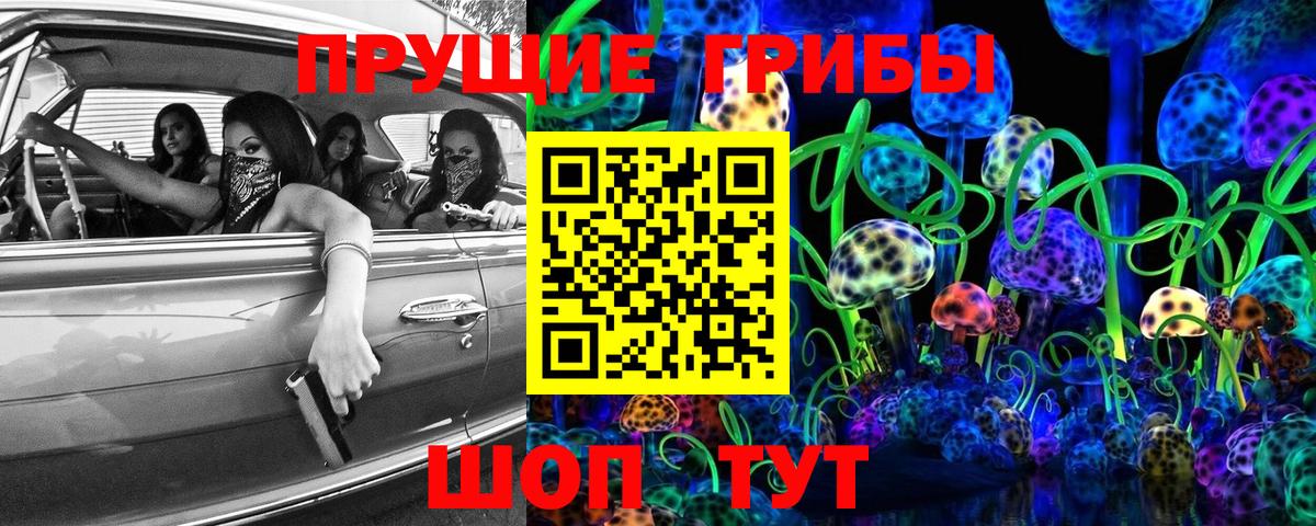 Псилоцибиновые грибы Psilocybe Артём