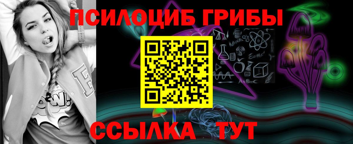 Артём  Галлюциногенные грибы MAGIC MUSHROOMS  Галлюциногенные грибы Cubensis  Вход с VPN 